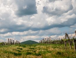 20140502 dsc 5823 e1495730788614