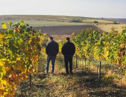 f9dd85edb34dbf93b11f5bb1af9efbe043dffa68.d7a1accabe2970f62bba3ed28ffa32010d0d9d13.1557871444