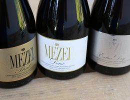 421967033 867356295400619 868549411333768932 n