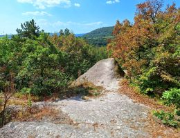 imgi 126 1725972732cserepfalu3