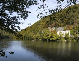 imgi 192 a hamori to 76a0133a