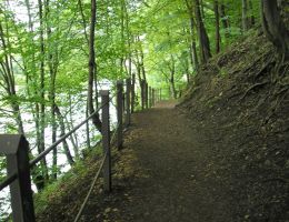 imgi 196 img 5e064010d4963