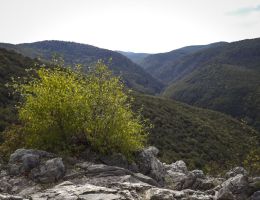 imgi 209 kilatas a feher korol 76a0133a